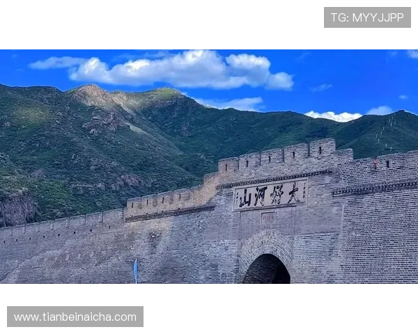 小泽木有风：轻声细语，藏尽山河万里