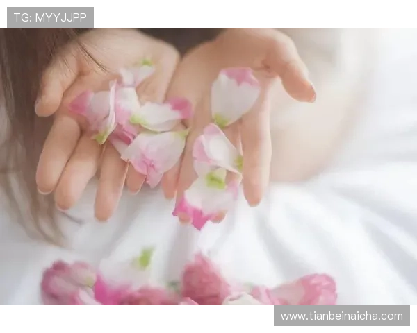 nello—邂逅“TheCove”,让静谧时光温柔流淌