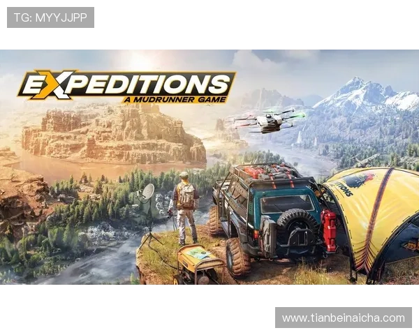 猛龙出击：不畏挑战，一往无前